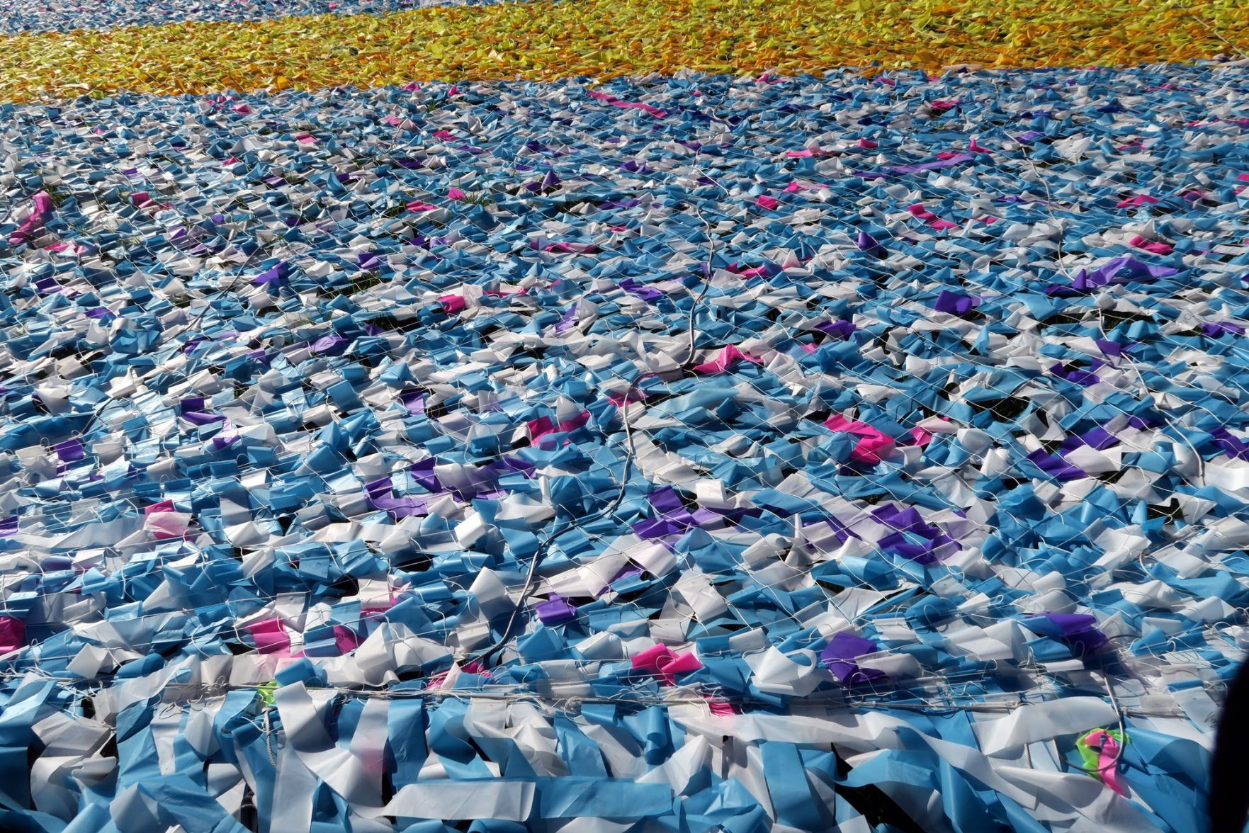 visions in motion installation elysian park jesus sanchez 9-22-2019 4-14-51 PM.JPG